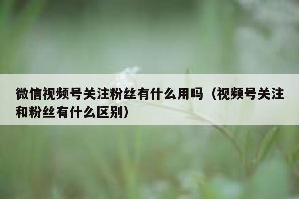 微信视频号关注粉丝有什么用吗（视频号关注和粉丝有什么区别） 第1张