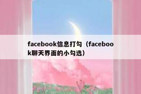 facebook信息打勾（facebook聊天界面的小勾选） 第1张