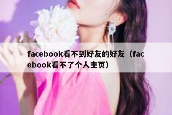 facebook看不到好友的好友（facebook看不了个人主页） 第1张