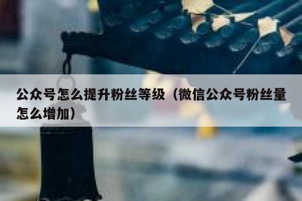 公众号怎么提升粉丝等级（微信公众号粉丝量怎么增加） 第1张