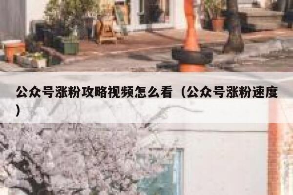 公众号涨粉攻略视频怎么看（公众号涨粉速度） 第1张