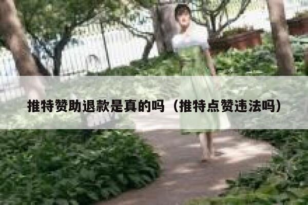推特赞助退款是真的吗（推特点赞违法吗） 第1张