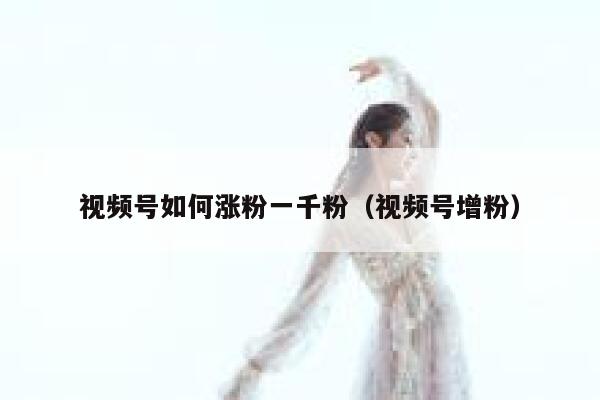 视频号如何涨粉一千粉（视频号增粉） 第1张