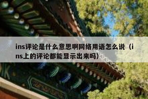 ins评论是什么意思啊网络用语怎么说（ins上的评论都能显示出来吗） 第1张