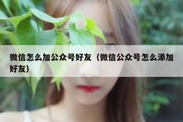 微信怎么加公众号好友（微信公众号怎么添加好友） 第1张