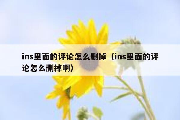 ins里面的评论怎么删掉（ins里面的评论怎么删掉啊） 第1张