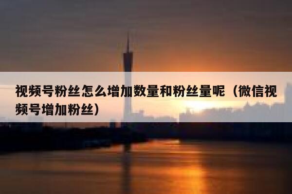 视频号粉丝怎么增加数量和粉丝量呢（微信视频号增加粉丝） 第1张