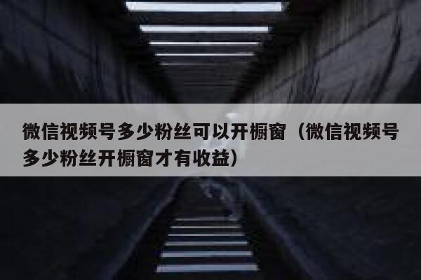 微信视频号多少粉丝可以开橱窗（微信视频号多少粉丝开橱窗才有收益） 第1张