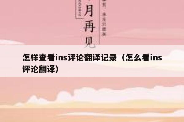 怎样查看ins评论翻译记录（怎么看ins评论翻译） 第1张