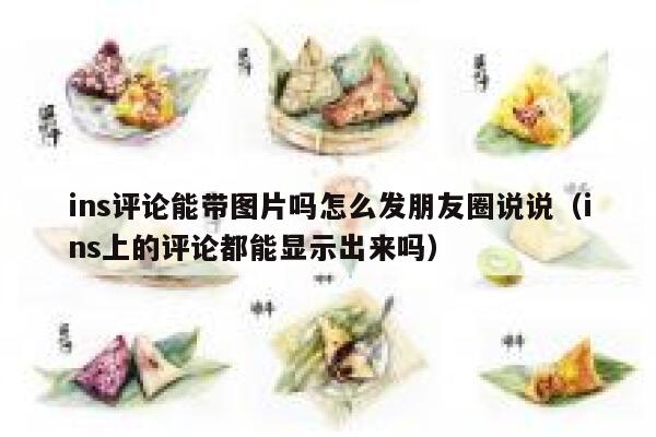 ins评论能带图片吗怎么发朋友圈说说（ins上的评论都能显示出来吗） 第1张