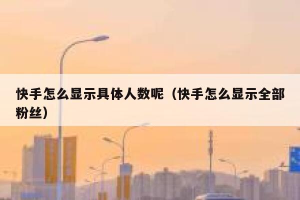 快手怎么显示具体人数呢（快手怎么显示全部粉丝） 第1张