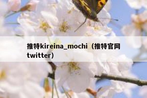 推特kireina_mochi（推特官网twitter） 第1张