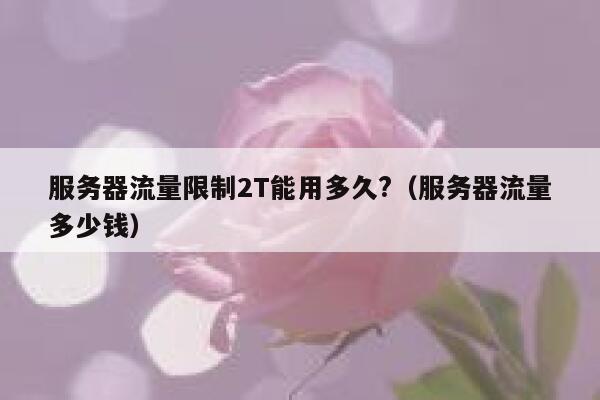 服务器流量限制2T能用多久?（服务器流量多少钱） 第1张