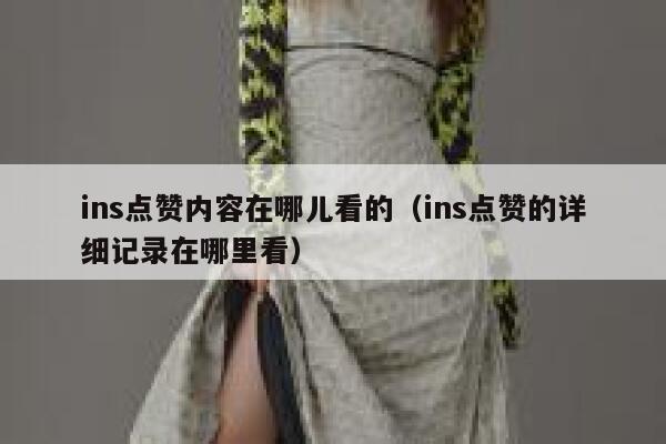 ins点赞内容在哪儿看的（ins点赞的详细记录在哪里看） 第1张