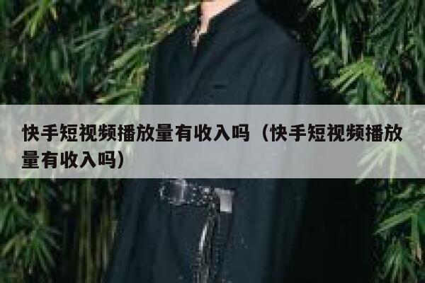 快手短视频播放量有收入吗（快手短视频播放量有收入吗） 第1张