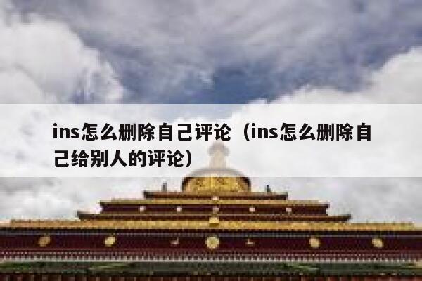 ins怎么删除自己评论（ins怎么删除自己给别人的评论） 第1张