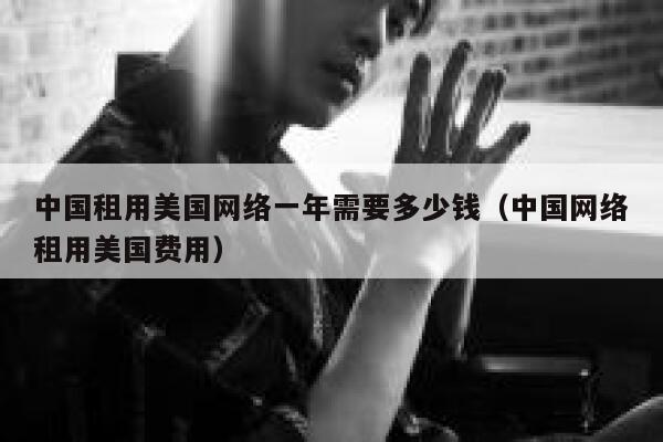 中国租用美国网络一年需要多少钱（中国网络租用美国费用） 第1张
