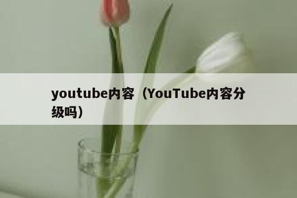 youtube内容（YouTube内容分级吗） 第1张