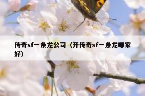 传奇sf一条龙公司（开传奇sf一条龙哪家好） 第1张
