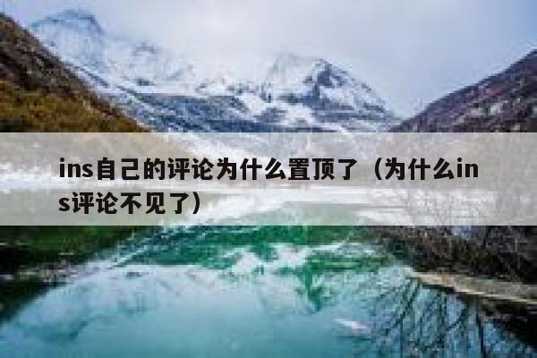 ins自己的评论为什么置顶了（为什么ins评论不见了） 第1张