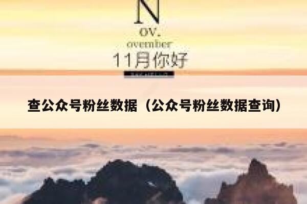 查公众号粉丝数据（公众号粉丝数据查询） 第1张