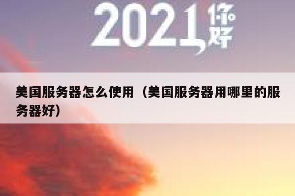 美国服务器怎么使用（美国服务器用哪里的服务器好） 第1张