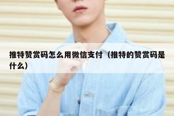 推特赞赏码怎么用微信支付（推特的赞赏码是什么） 第1张