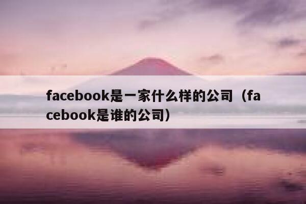 facebook是一家什么样的公司（facebook是谁的公司） 第1张