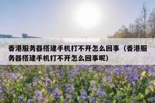 香港服务器搭建手机打不开怎么回事（香港服务器搭建手机打不开怎么回事呢） 第1张