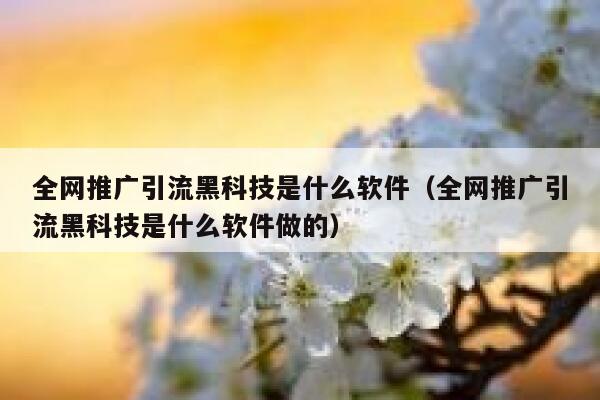 全网推广引流黑科技是什么软件（全网推广引流黑科技是什么软件做的） 第1张