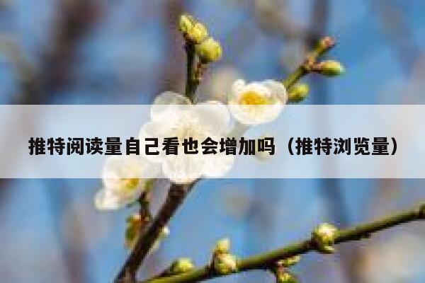 推特阅读量自己看也会增加吗（推特浏览量） 第1张