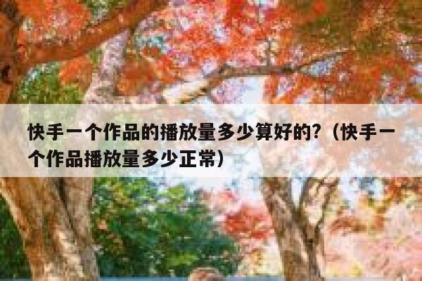 快手一个作品的播放量多少算好的?（快手一个作品播放量多少正常） 第1张