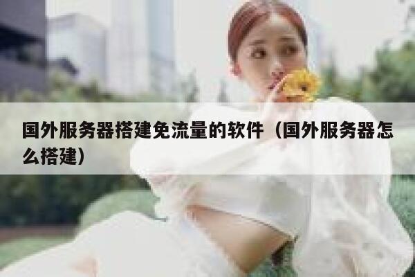 国外服务器搭建免流量的软件（国外服务器怎么搭建） 第1张