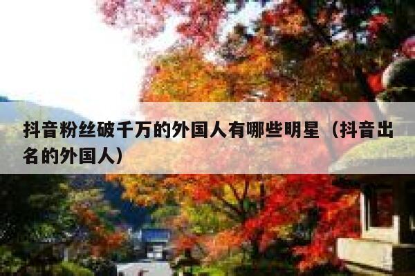 抖音粉丝破千万的外国人有哪些明星（抖音出名的外国人） 第1张