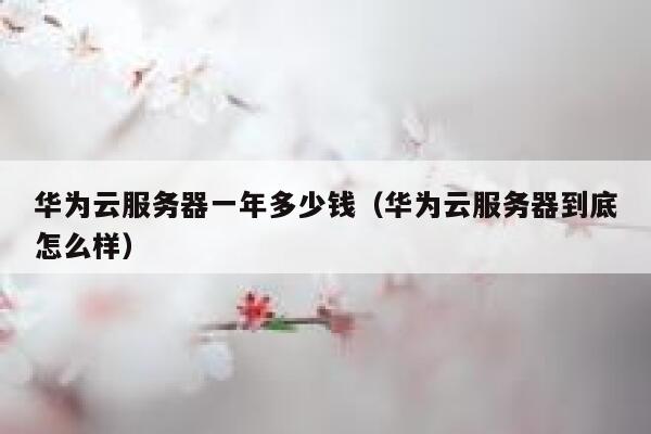 华为云服务器一年多少钱（华为云服务器到底怎么样） 第1张