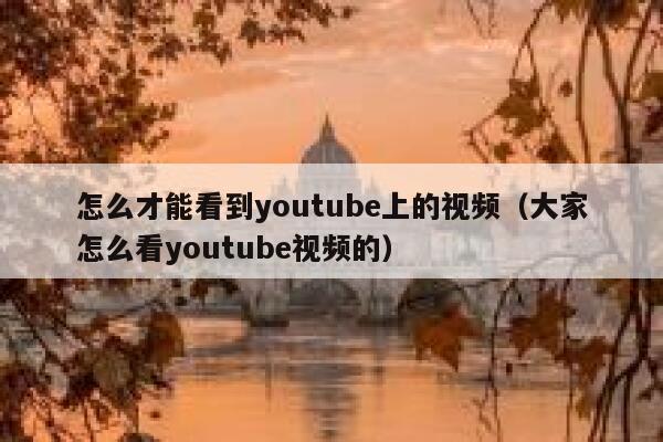怎么才能看到youtube上的视频（大家怎么看youtube视频的） 第1张