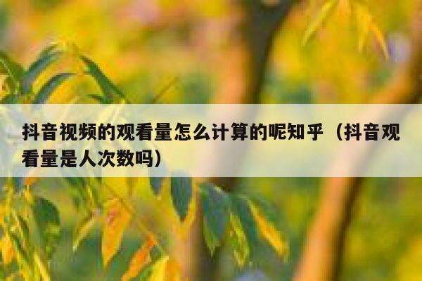 抖音视频的观看量怎么计算的呢知乎（抖音观看量是人次数吗） 第1张