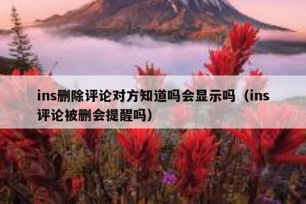 ins删除评论对方知道吗会显示吗（ins评论被删会提醒吗） 第1张