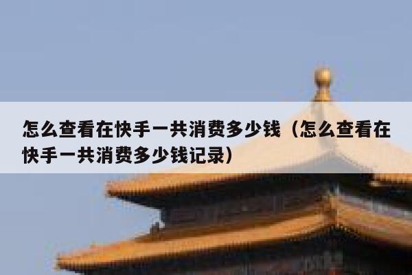 怎么查看在快手一共消费多少钱（怎么查看在快手一共消费多少钱记录） 第1张