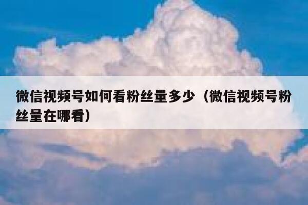 微信视频号如何看粉丝量多少（微信视频号粉丝量在哪看） 第1张