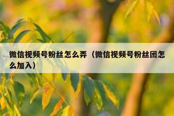 微信视频号粉丝怎么弄（微信视频号粉丝团怎么加入） 第1张