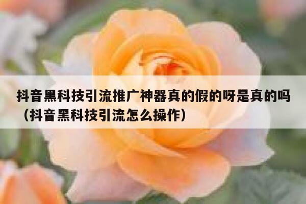 抖音黑科技引流推广神器真的假的呀是真的吗（抖音黑科技引流怎么操作） 第1张