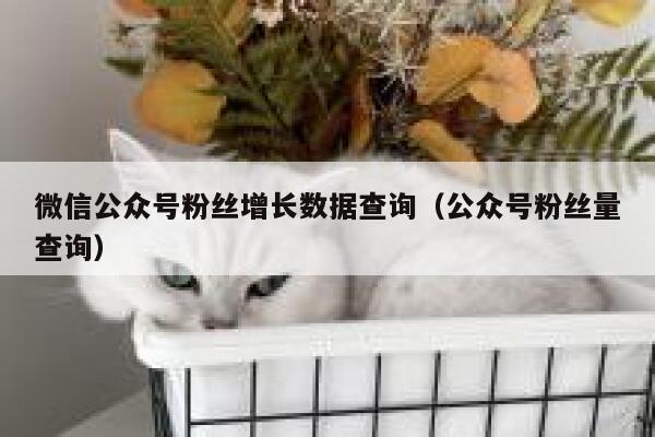 微信公众号粉丝增长数据查询（公众号粉丝量查询） 第1张
