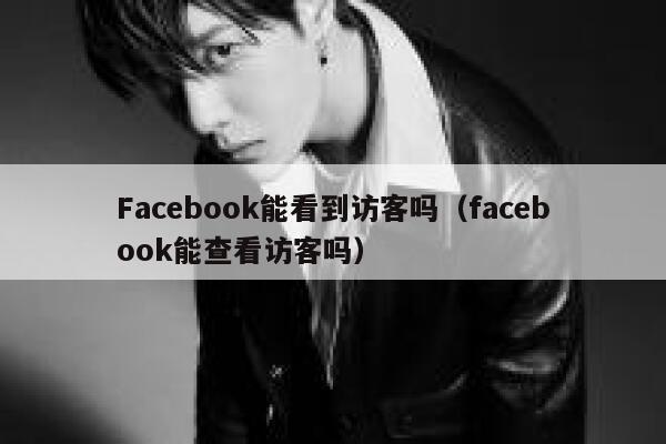 Facebook能看到访客吗（facebook能查看访客吗） 第1张