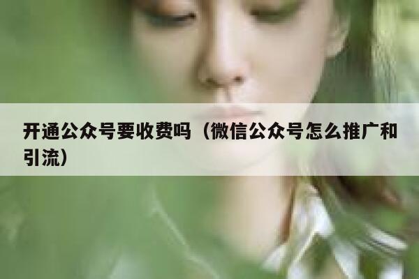 开通公众号要收费吗（微信公众号怎么推广和引流） 第1张