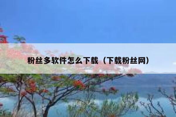 粉丝多软件怎么下载（下载粉丝网） 第1张