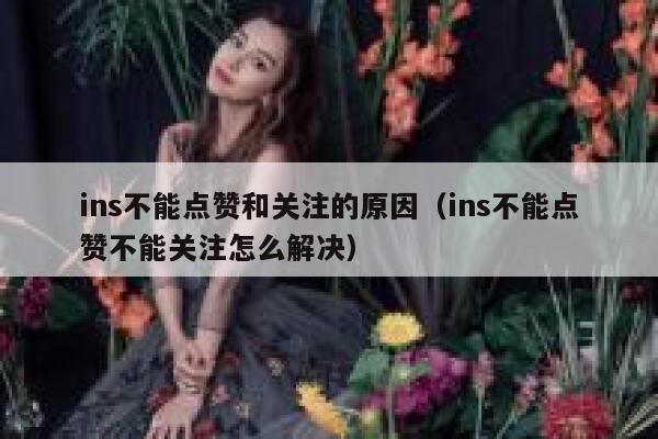 ins不能点赞和关注的原因（ins不能点赞不能关注怎么解决） 第1张