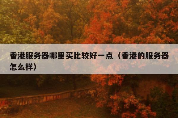 香港服务器哪里买比较好一点（香港的服务器怎么样） 第1张