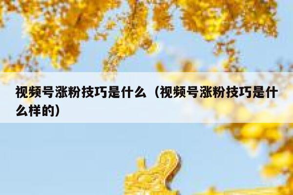 视频号涨粉技巧是什么（视频号涨粉技巧是什么样的） 第1张