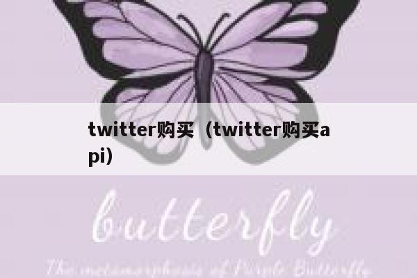 twitter购买（twitter购买api） 第1张